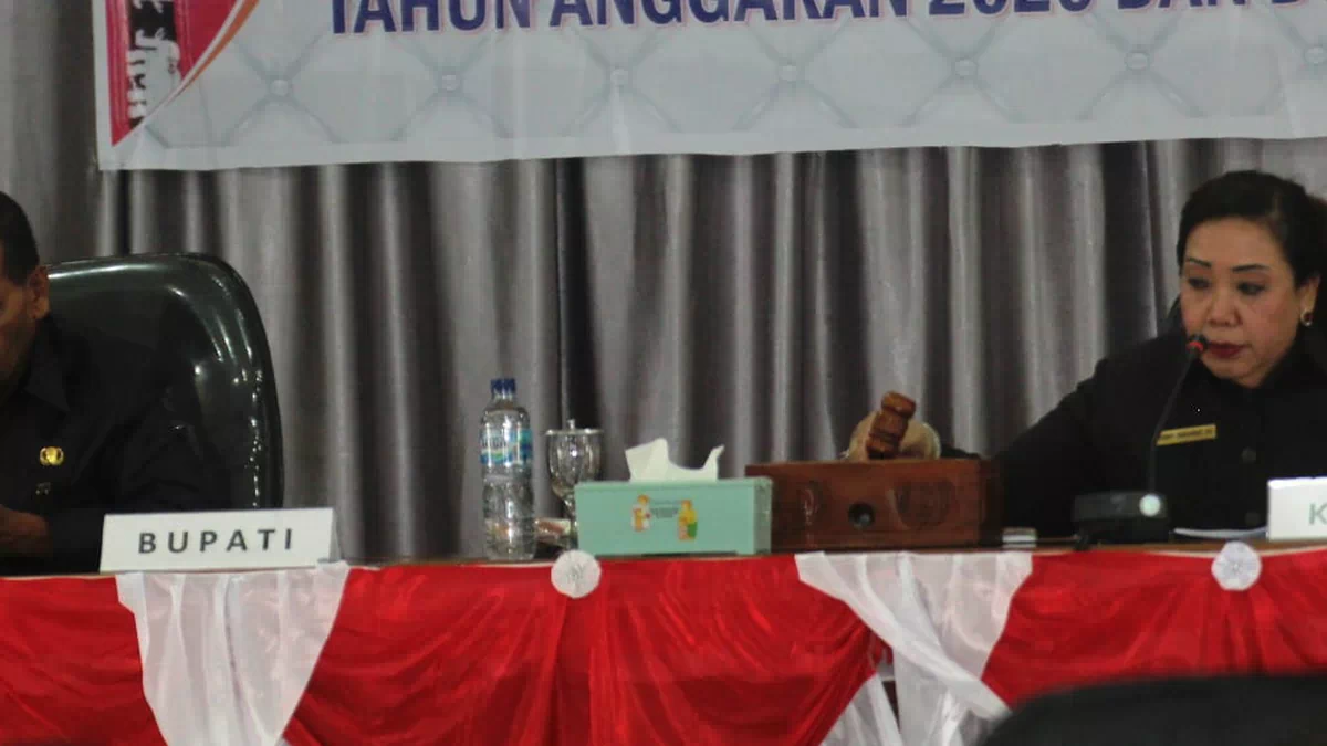 Ini Potret KUA-PPAS RAPBD Alor TA 2021
