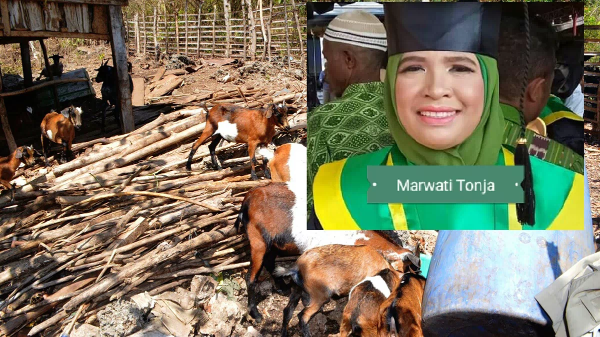 Perempuan Peternak Itu Menjual 28 Kambing Saat Idul Adha