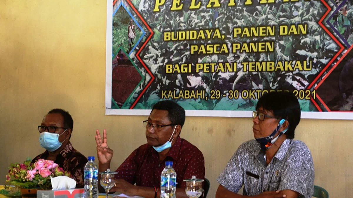 Distanbun Alor Latih Petani Tembakau. Yustus: Pengeluaran Terbesar itu Rokok, Pulsa dan Miras