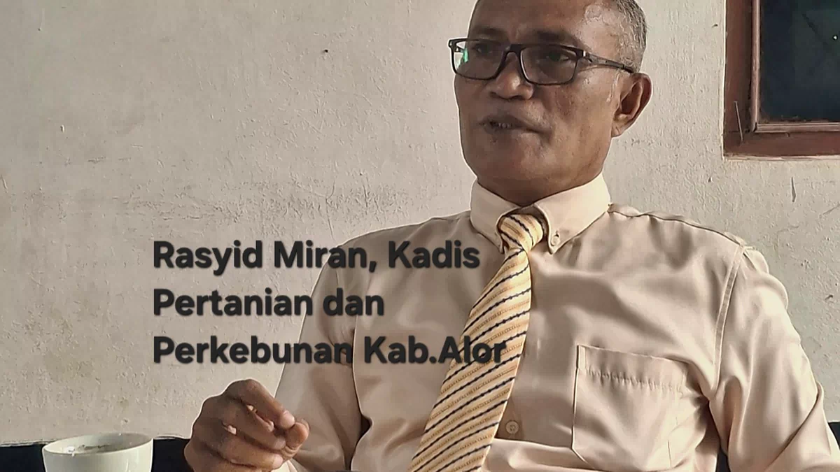 Volume Produksi Pertanian dan Perkebunan Kabupaten Alor Kembali Meningkat