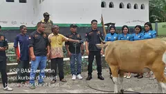 KSP Budi Artha Mandiri Bagi-Bagi Hewan Kurban Jelang <em>Idul Adha 1447 Hijriah</em>