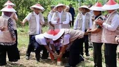 Pasang Patok, Cara Sederhana Cegah Sengketa Tanah dengan Tetangga