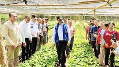 Aksi Mentan Andi Amran  dan Dirut Bulog Perkuat Ketahanan Pangan di Alor