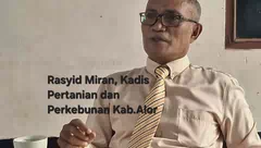 Volume Produksi Pertanian dan Perkebunan Kabupaten Alor Kembali Meningkat
