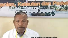 Pemkab Alor Berharap Bahan Pangan Untuk Dapur MBG dari Petani Lokal
